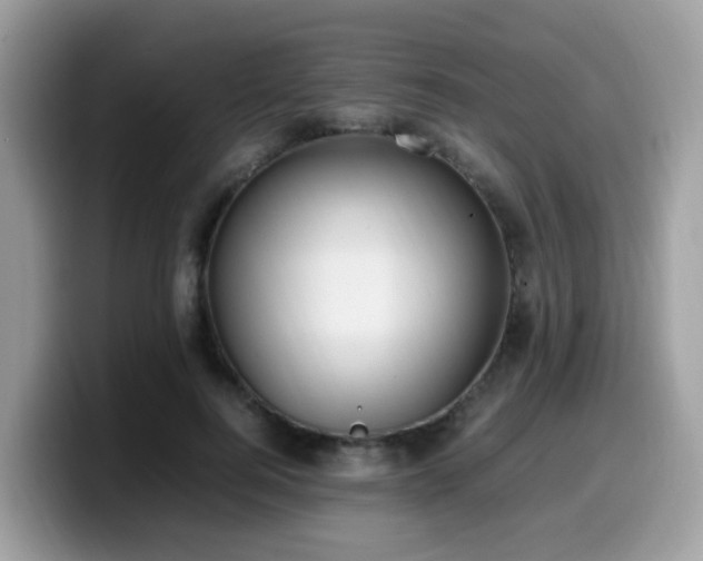 X0000099980744200805301353