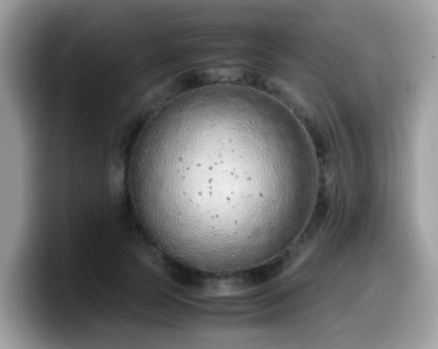 X0000099980745200805301353