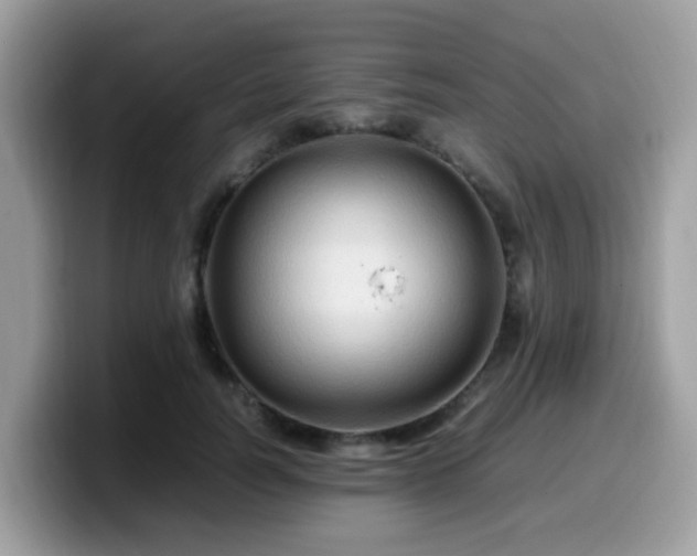 X0000099980746200805301353