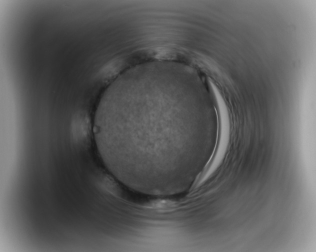 X0000099980748200805301353