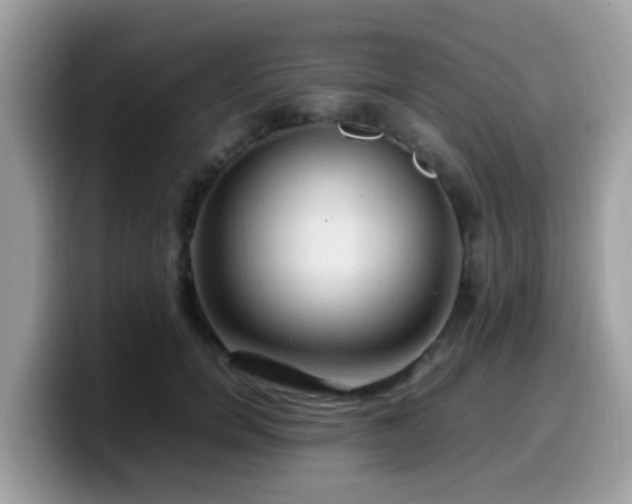 X0000099980750200805301353