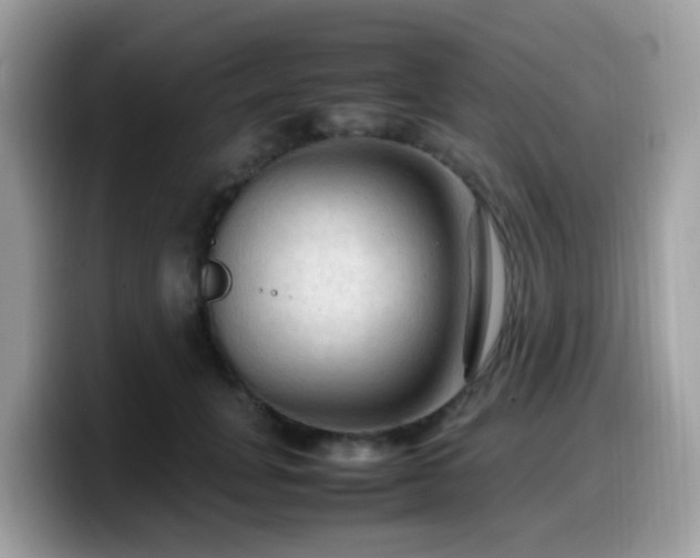 X0000099980751200805301353