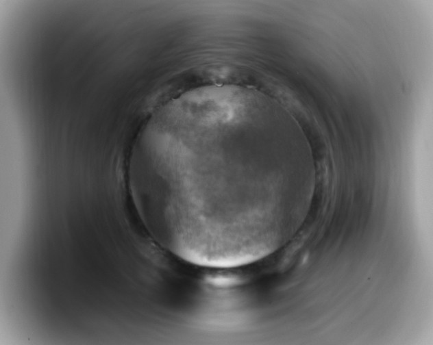 X0000099980754200805301353