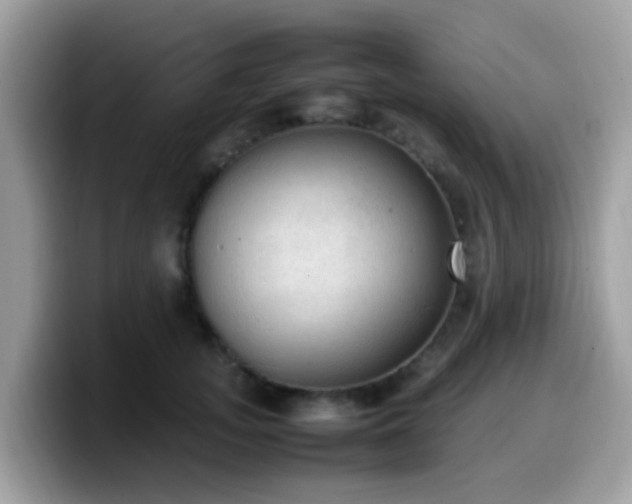 X0000099980755200805301353