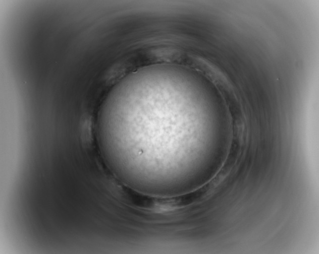 X0000099980757200805301353