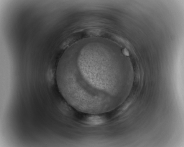 X0000099980759200805301353