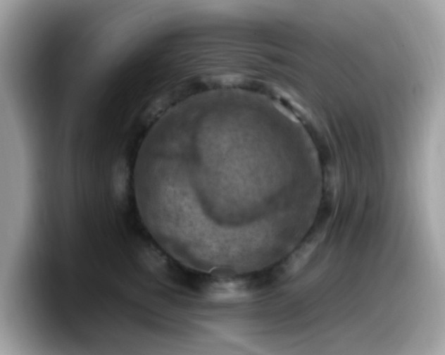 X0000099980760200805301353