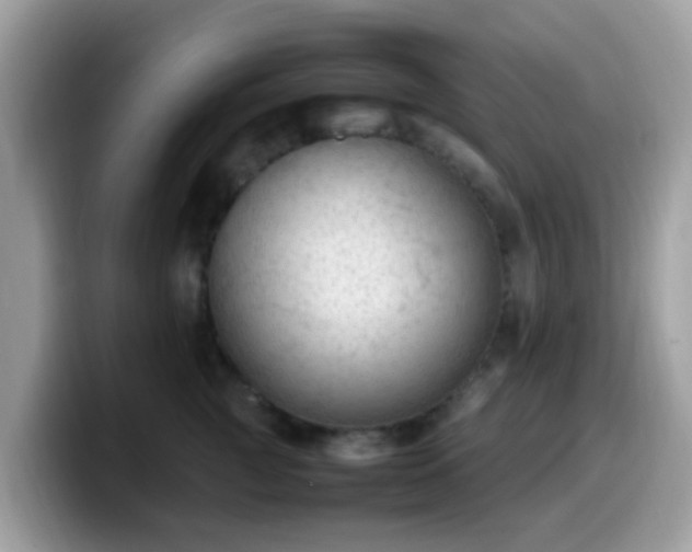 X0000099980761200805301353