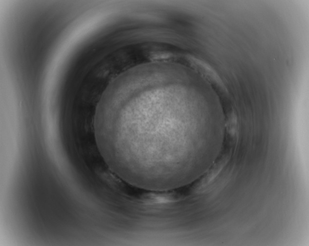 X0000099980763200805301353