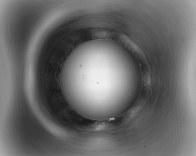 X0000099980764200805301353