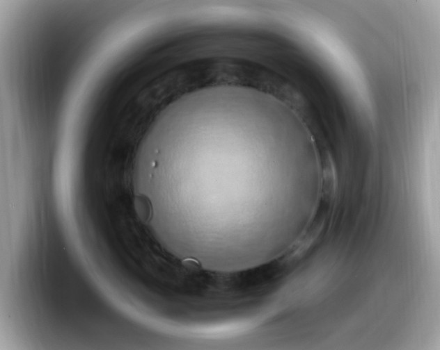 X0000099980765200805301353