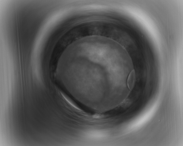 X0000099980766200805301353