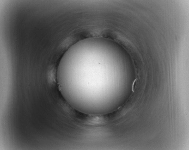 X0000099980768200805301353