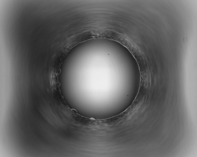 X0000099980770200805301353