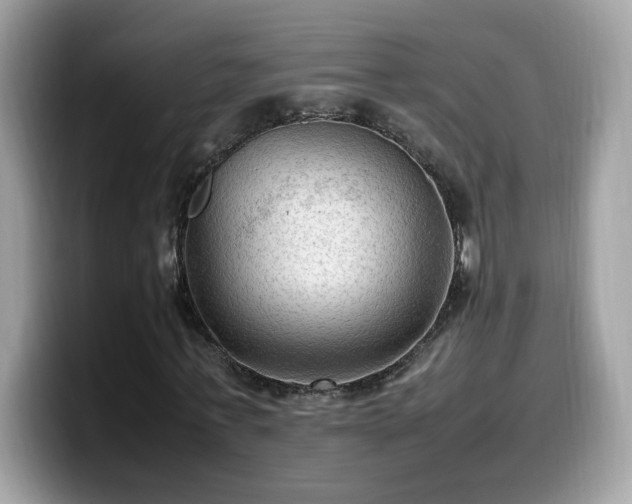 X0000099980771200805301353