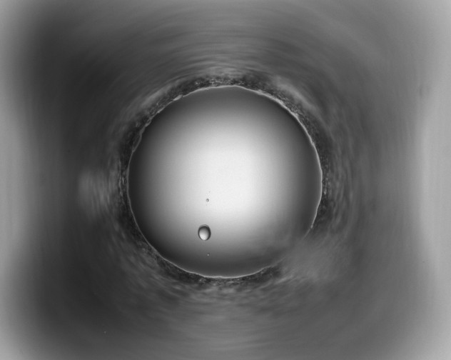 X0000099980773200805301353