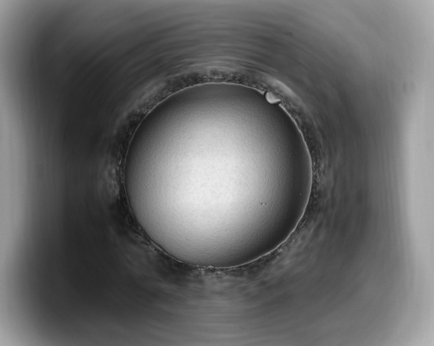 X0000099980774200805301353