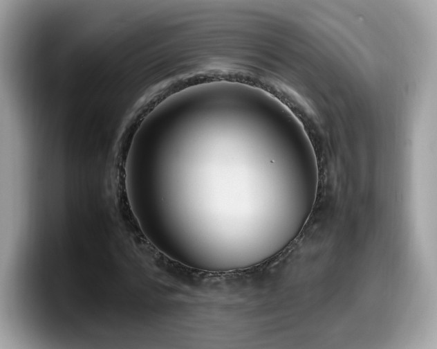 X0000099980776200805301353