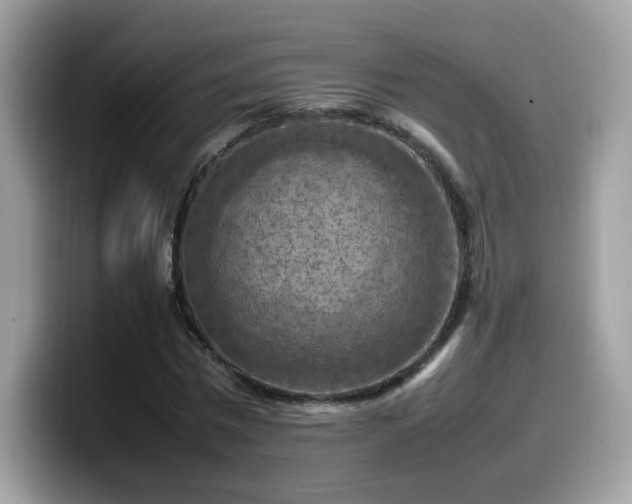 X0000099980777200805301353