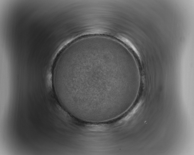 X0000099980781200805301353