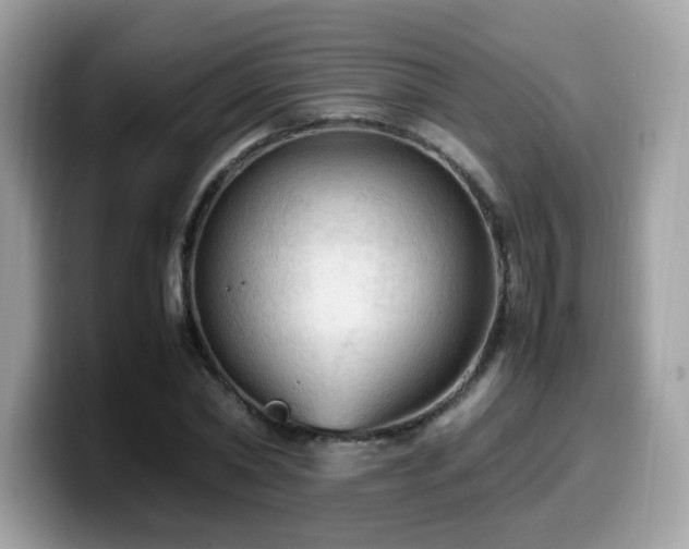 X0000099980782200805301353