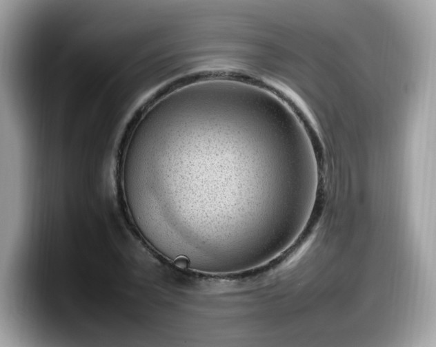 X0000099980783200805301352