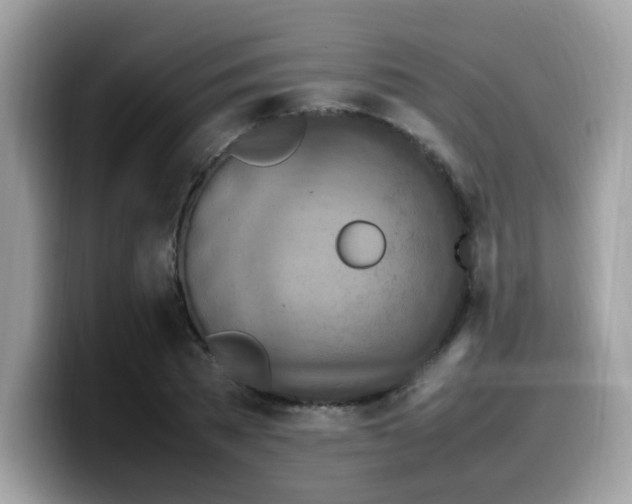 X0000099980785200805301352