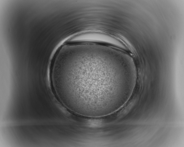 X0000099980788200805301352