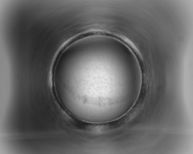 X0000099980791200805301352