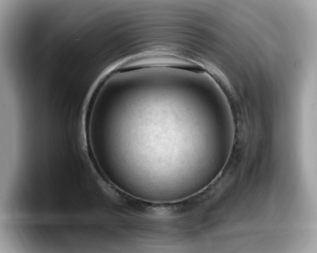 X0000099980792200805301352