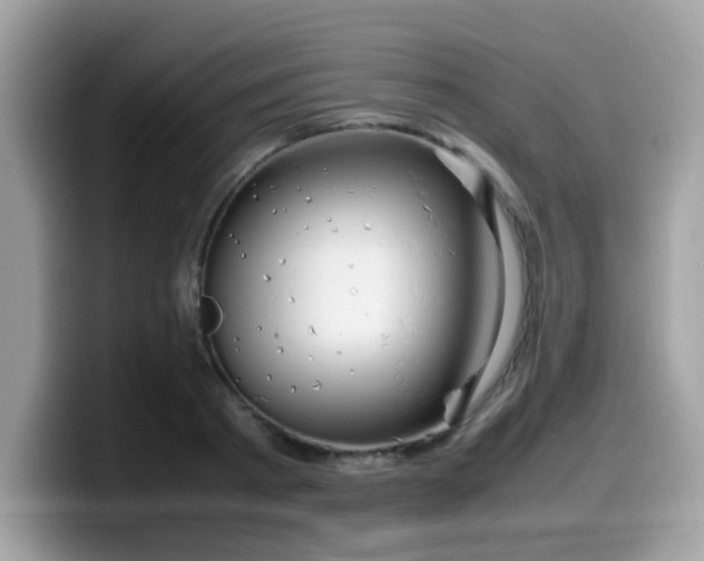 X0000099980793200805301352