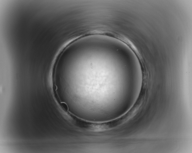 X0000099980795200805301352