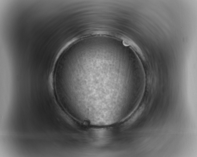 X0000099980798200805301352