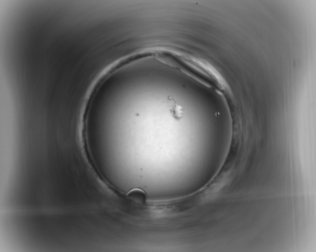 X0000099980799200805301352