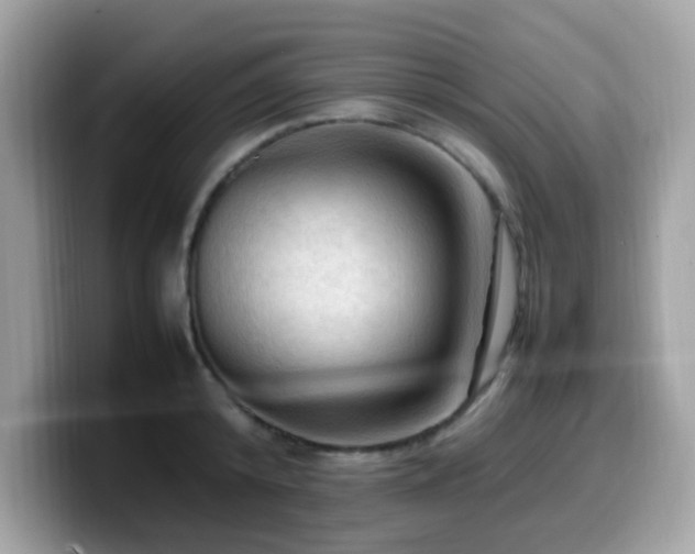 X0000099980800200805301352