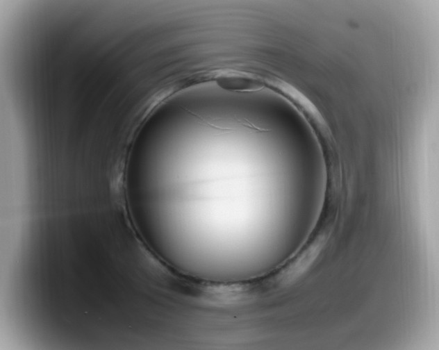 X0000099980801200805301352