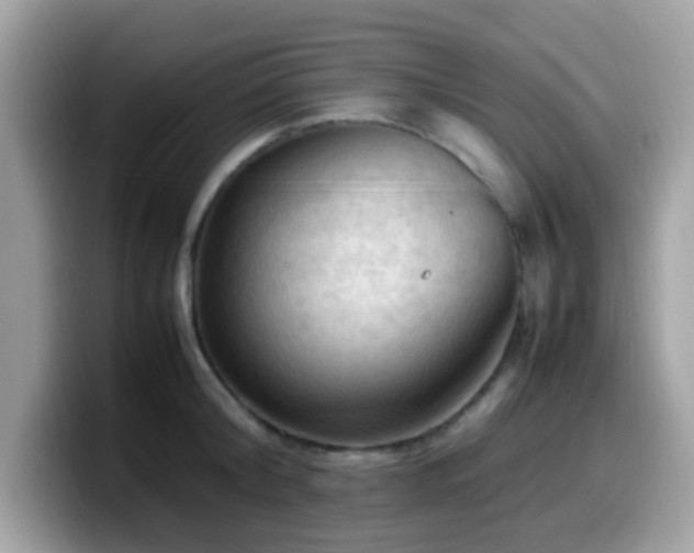 X0000099980804200805301352