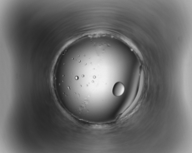 X0000099980805200805301352