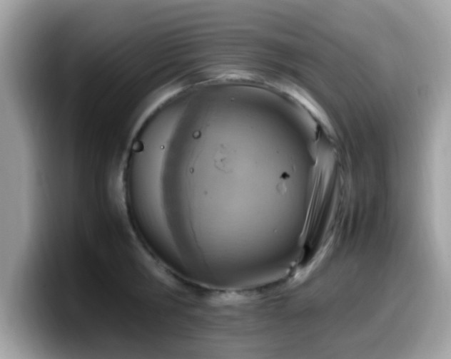 X0000099980806200805301352