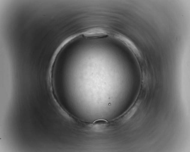 X0000099980808200805301352