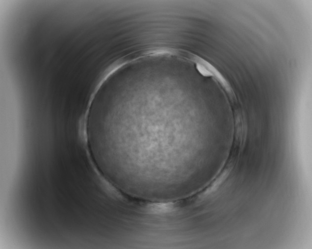 X0000099980810200805301352