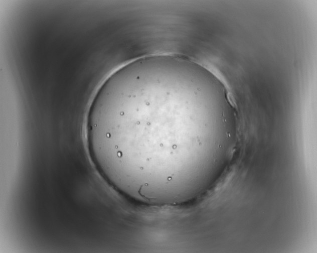 X0000099980811200805301352