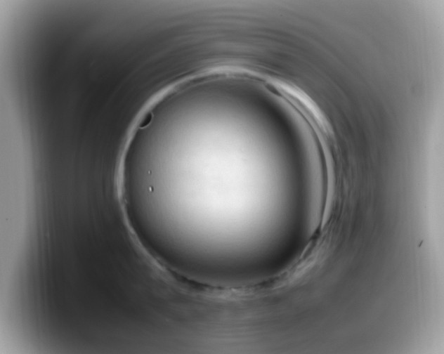 X0000099980815200805301352