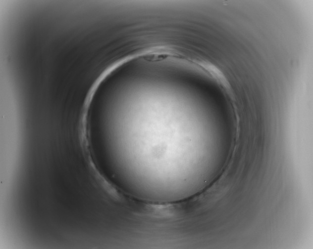 X0000099980816200805301352