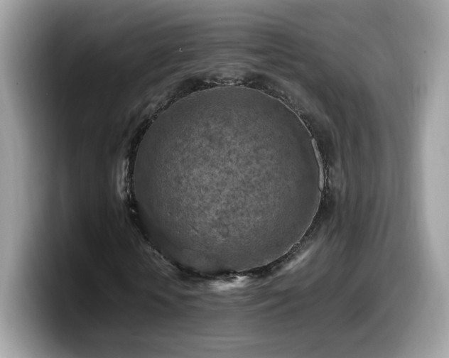 X0000099980818200805301351