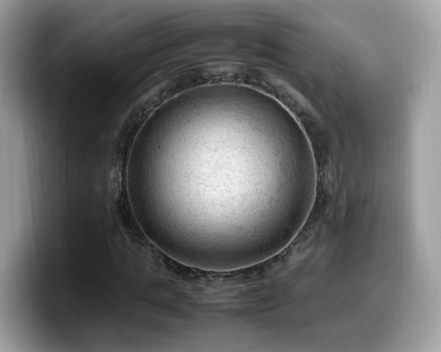 X0000099980821200805301351