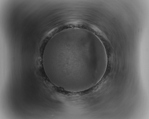 X0000099980822200805301351