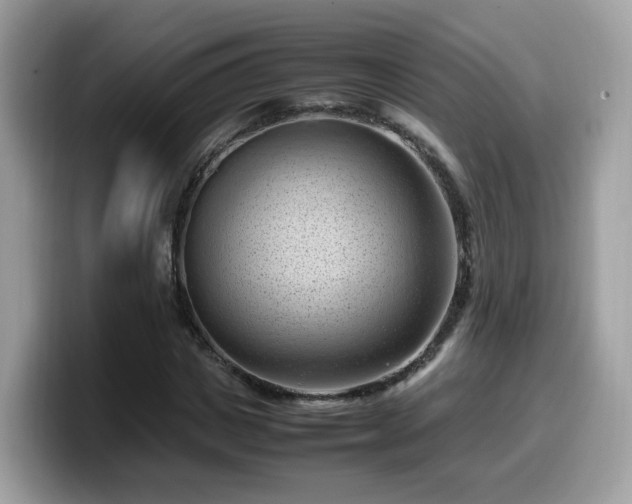 X0000099980825200805301352