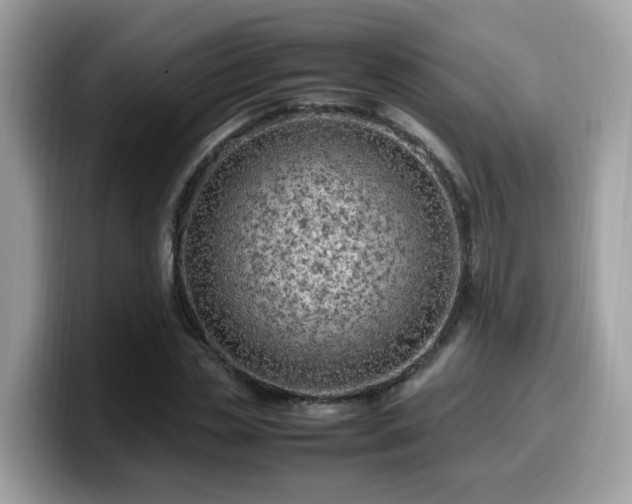 X0000099980829200805301352
