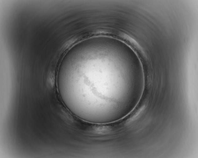 X0000099980833200805301352